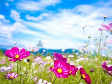 Чому сьогодні не можна вирішувати «грошові» справи: прикмети та традиції 11 серпня