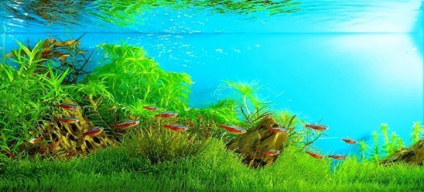 Фотовиставка Павла Березюка