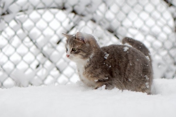 Фотовиставка Павла Березюка
