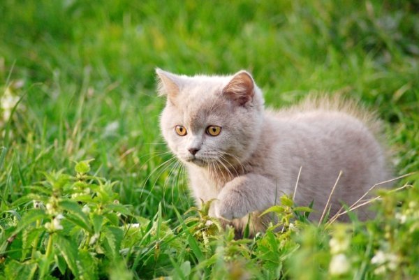 Фотовиставка Павла Березюка