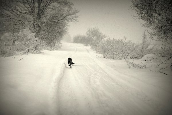 Фотовиставка Павла Березюка