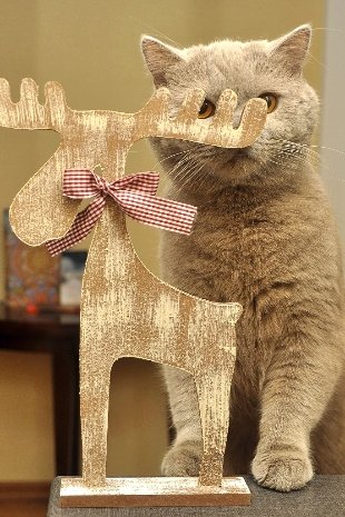 Фотовиставка Павла Березюка