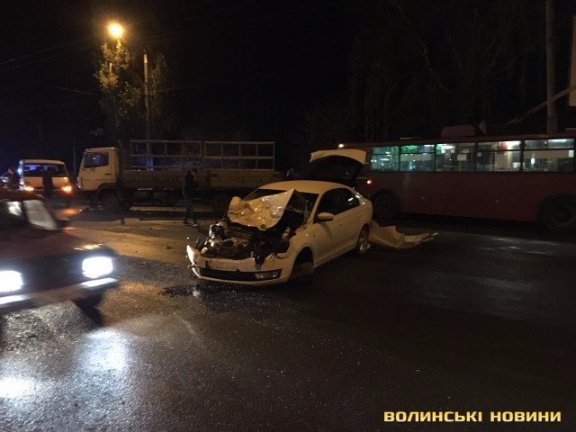 Отруєння собак та смерть на полюванні. Надзвичайні новини тижня (23-29 жовтня)