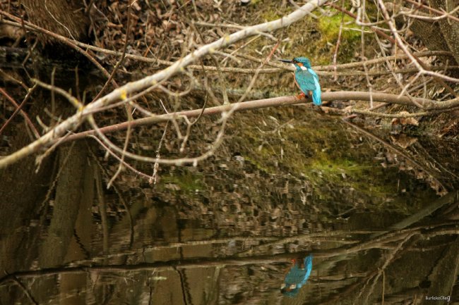 Неймовірні світлини березневого луцького парку.  ФОТО