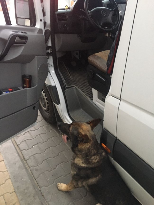 В «Устилузі» у водія буса виявили наркотики. ФОТО