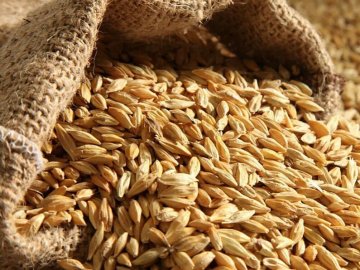 В Україні намолотили перший мільйон тонн зерна