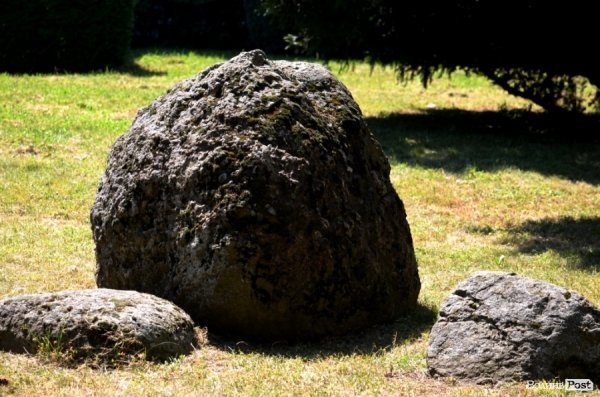 Фотопогляд: проспект Волі