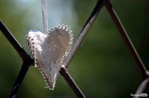 Фотопогляд: проспект Волі