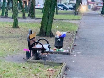 У місті на Волині можуть покарати директора комунального підприємства через безлад у парку