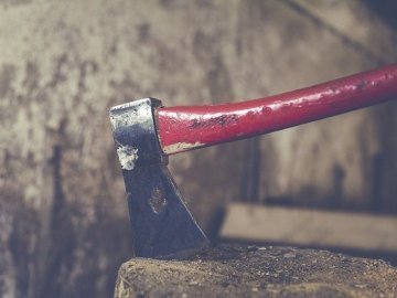 Волинянину, який сокирою вдарив дружину по голові, присудили 170 гривень штрафу