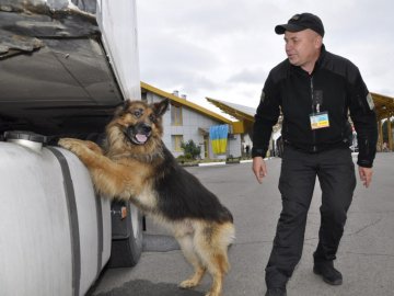 На Волині службові собаки допомогли знайти у пасажирів автобусів наркотики