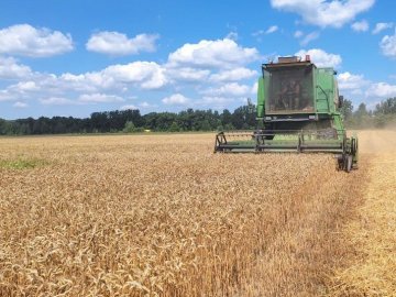 Жнива на Волині сповільнили дощі: відомо, скільки врожаю вже зібрали.ФОТО.ВІДЕО