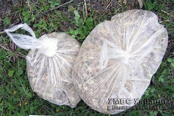 На Волині у пасажира авто знайшли макову соломку. ФОТО