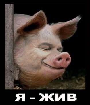 Таємниця Дарта Вейдера і «легітимний президент». ФОТОЖАБИ