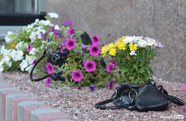 Місто, яке я люблю. Квіти Луцька