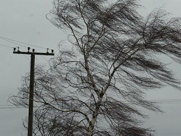 На Волині негода знеструмила 15 сіл