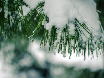 Погода у Луцьку та Волинській області на завтра, 5 лютого