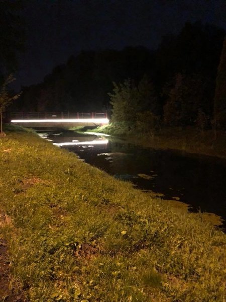 У центральному парку Луцька підсвітили 2 містки. ФОТО