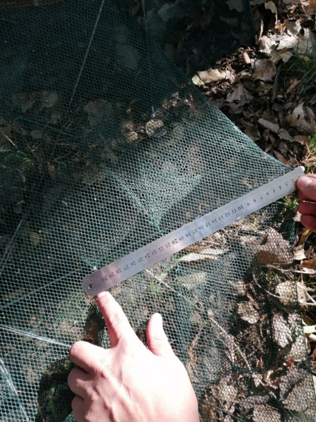 На Волині «на гарячому» спіймали чоловіка, який ловив раків з човна 