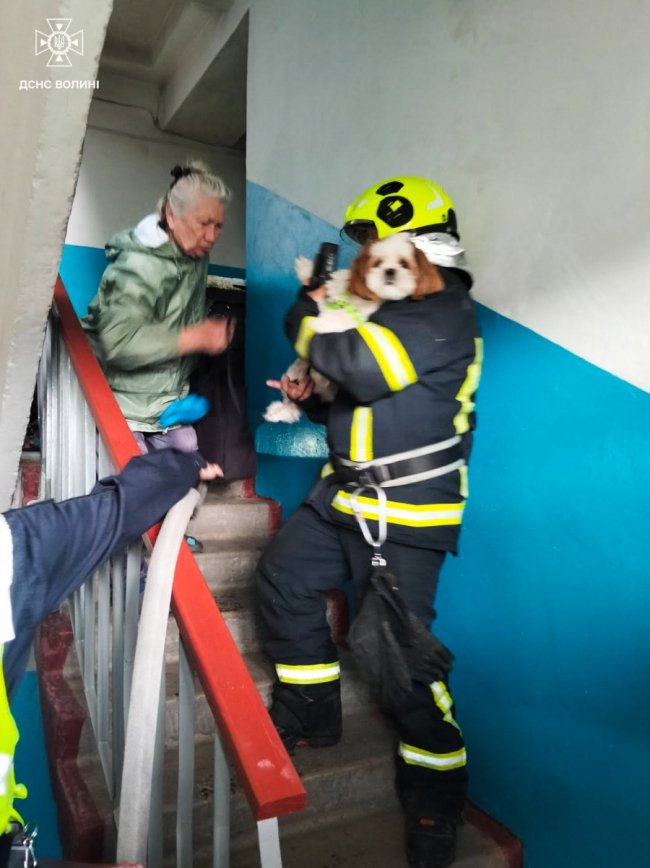 У місті на Волині через посудомийку горіла квартира