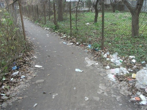 Лучани не дочекалися комунальників і самі прибрали провулок. ФОТО