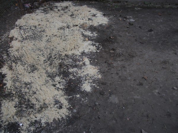 Лучани не дочекалися комунальників і самі прибрали провулок. ФОТО