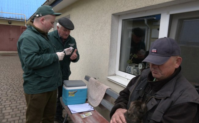 В громаді на Волині ветеринари подвірно щеплювали тварин від сказу