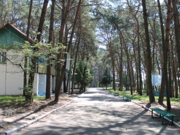 У таборі на Волині, де отруїлись діти, не виявили інфекції