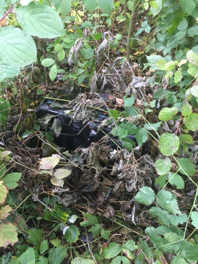 Луцькі прикордонники в кущах знайшли тисячу пачок нічийних сигарет. ФОТО