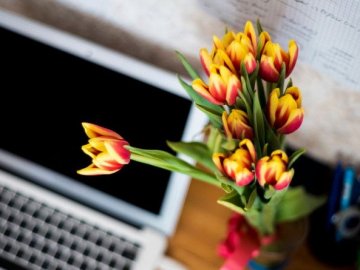 Погода у Луцьку на завтра, 31 березня