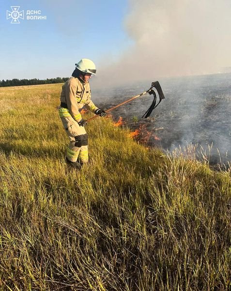 На Волині горіла суха трава