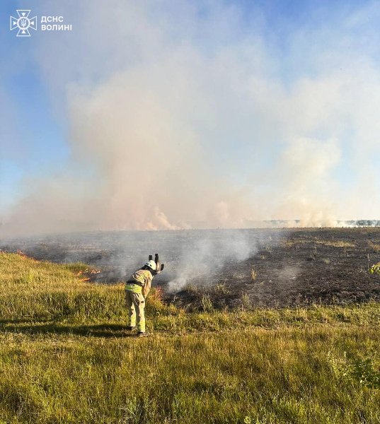 На Волині горіла суха трава