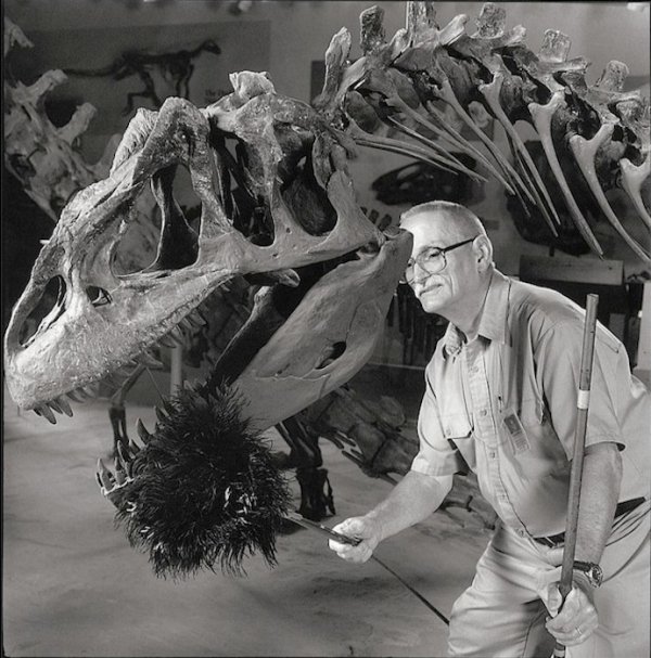 Протиральник динозаврів