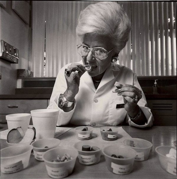 Дегустатор собачого корму