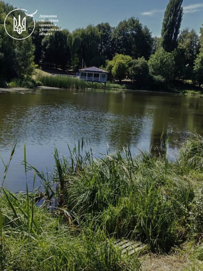 У Луцьку екологи перевірили інформацію про забруднення річки