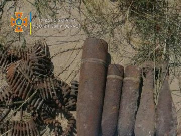 Небезпечні знахідки: у волинських лісах люди продовжують натрапляти на застарілі боєприпаси