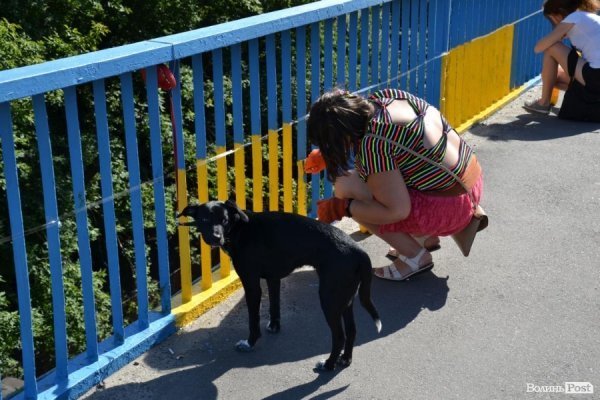 У Луцьку таки дофарбують «патріотичний» міст. ФОТО