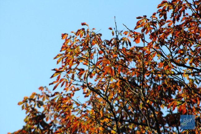 Атмосферні світлини морозного ранку у волинському місті. ФОТО