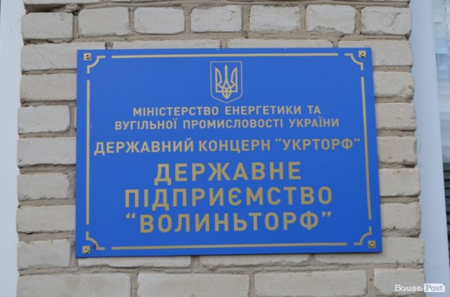 Не бурштином єдиним: чому Савченко їздив у Маневичі