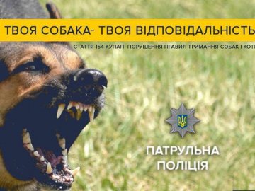 Як правильно вигулювати собак: поради луцьких патрульних