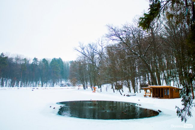 Подорож в казку: особливим людям влаштували прогулянку «волинською Швейцарією». ФОТО
