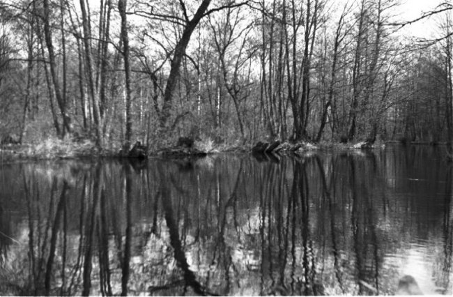 Дітлахи, рибалки та човни: волинське Полісся на фото аргентинки
