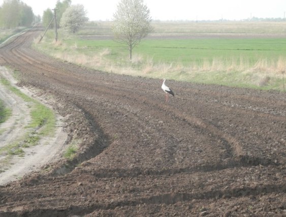 «Толока» на волинському кордоні. ФОТО