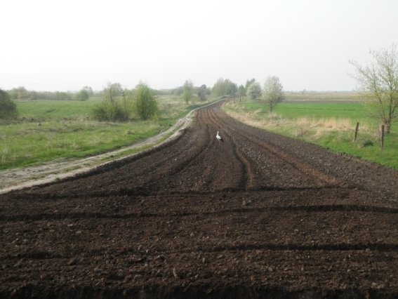 «Толока» на волинському кордоні. ФОТО