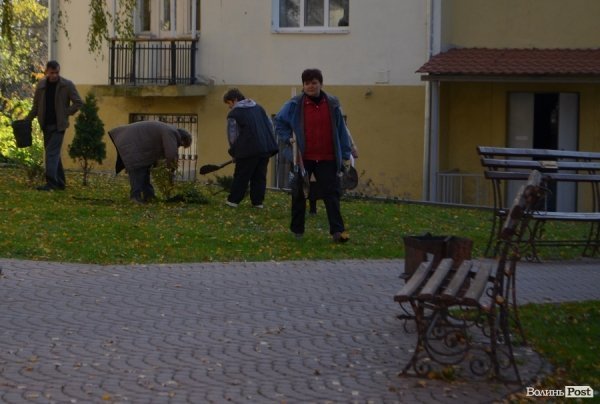 У центрі Луцька озеленили сквер. ФОТО