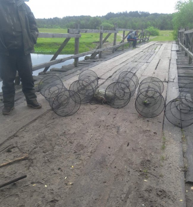 За перший тиждень червня у браконьєрів на Волині вилучили понад 10 кілограмів риби