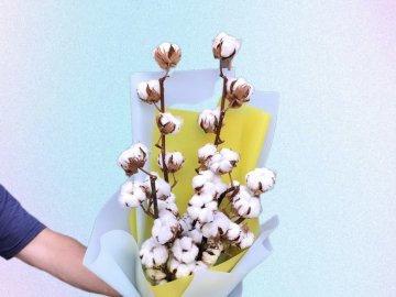 «Бавовна» в Енгельсі: добрі новини від ВолиньPost за 5 грудня