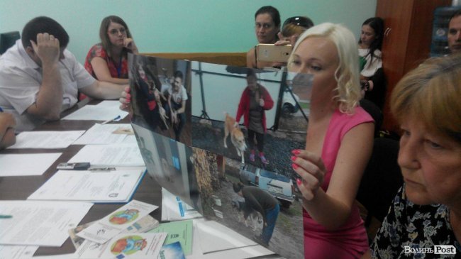 У Луцьку зоозахисники просять звільнити директора «Ласки»