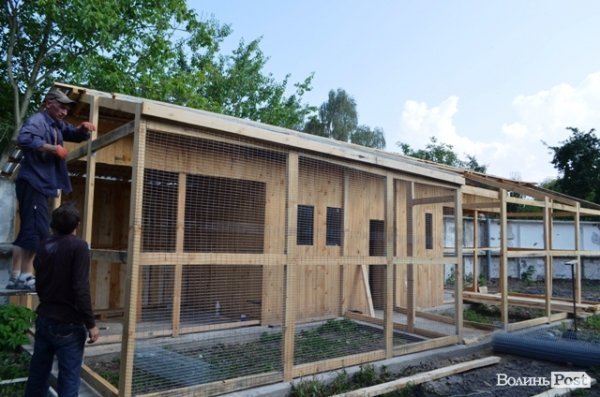 Будівництво нових вольєрів для котиків.