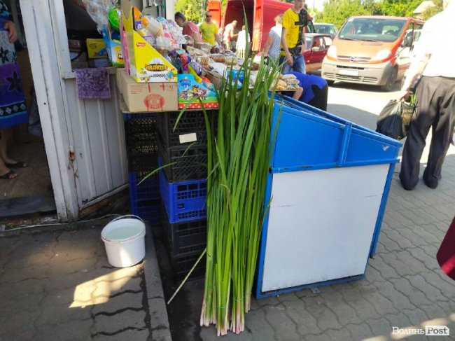 У скільки лучанам обійдеться лепеха напередодні Трійці: ціни на ринку